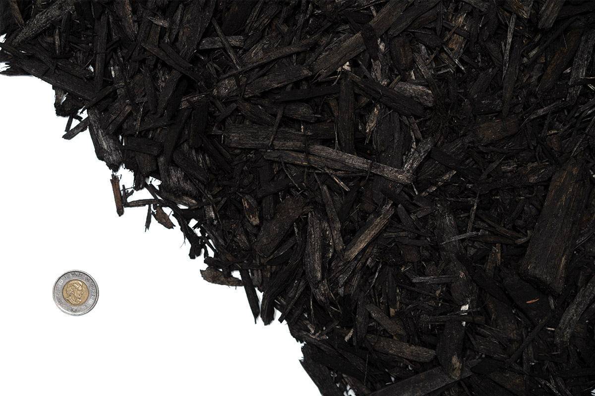 Black Shredded Mulch