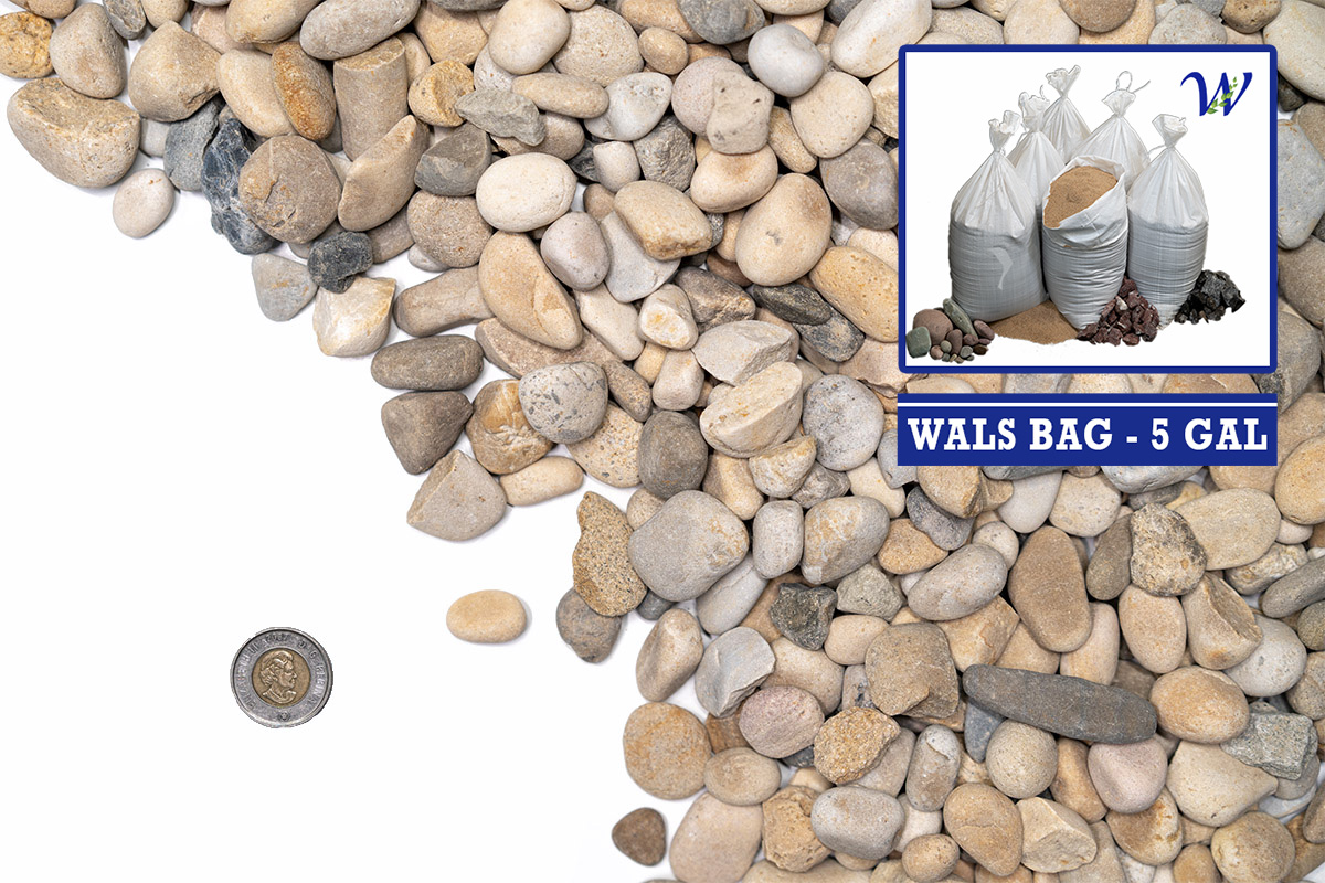 Wals 5 Gallon Bag 20mm Washed Round Decorative Landscape Rock