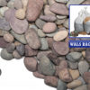Wals 5 Gallon Bag 40mm Montana Rainbow Decorative Colorful Landscape Rock