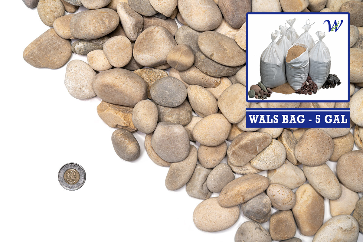 Wals 5 Gallon Bag 40mm Washed Round Decorative Landscape Rock