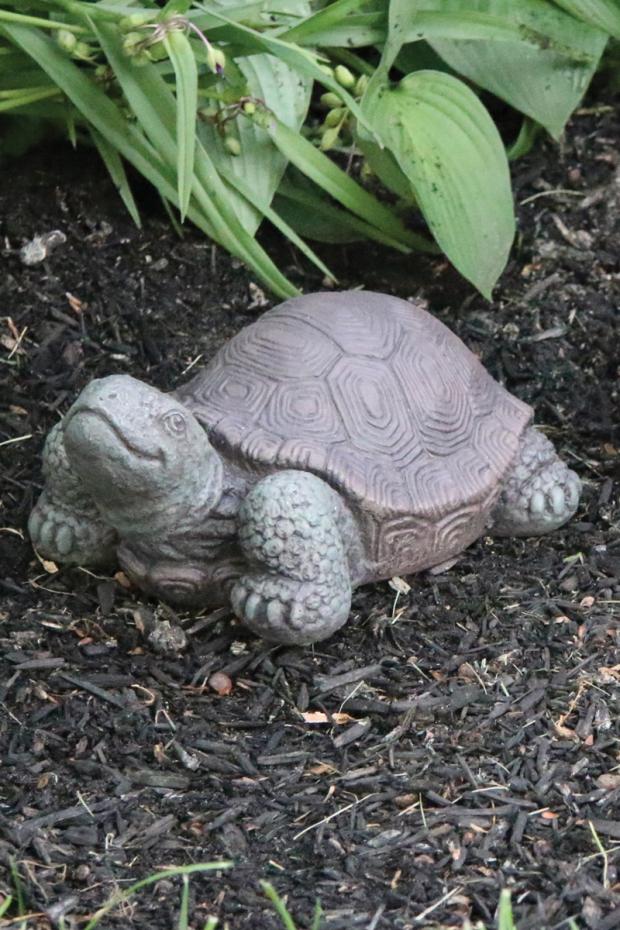 Small Tortoise 7 inch Garden Decor
