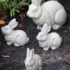 Rabbit Set Garden Decor