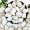 20-40mm White Decorative Stones High Polished