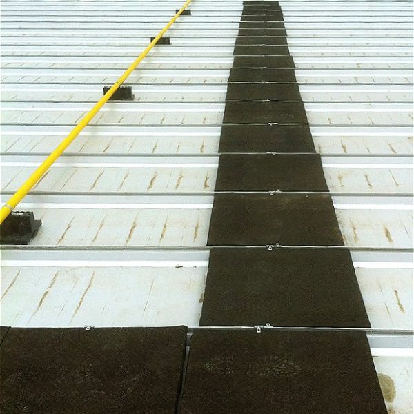 Shercom Rooftop Walkway Blocks At Whyte Ave Landscape Supplies